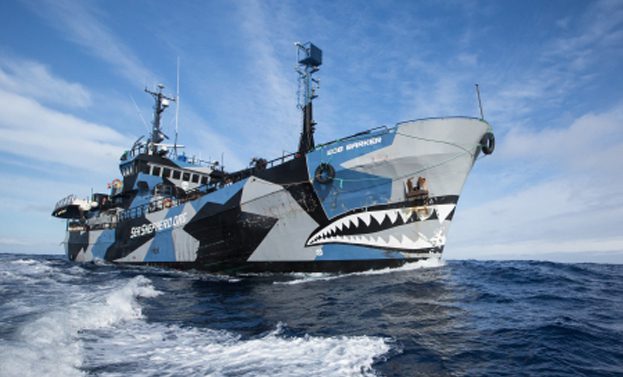 seasheperd barca