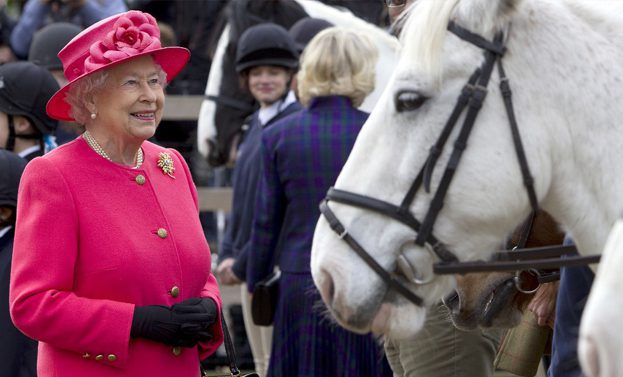 queen elisabeth horses ap