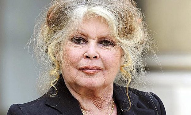 bardot ap