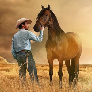 Amavi l'uomo che sussurrava ai cavalli? Lo ritrovi in "The rider"