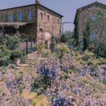 Nel cuore della Val d’Orcia, la storia e l’anima della Tenuta Luce